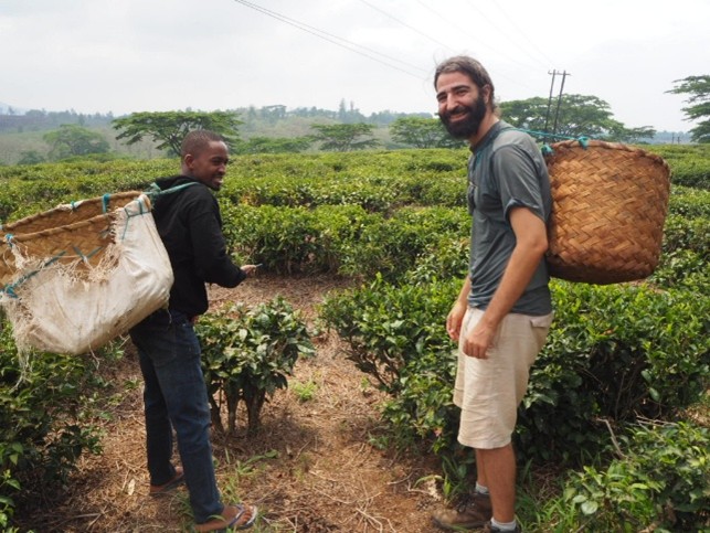 Ricardo (right) with the agro-entrepreneur Alberto Chauque in a tea plantation in Gurue