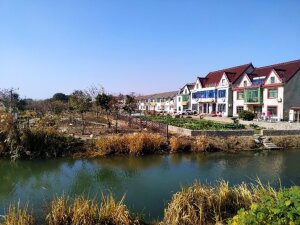 Farmhouses _vegetable Plots _and Herbal Garden _from Right To Left _in Shuiku Village _shanghai