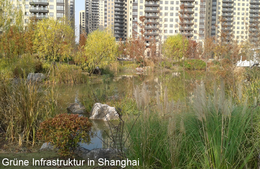 Grüne Infrastruktur in Shanghai